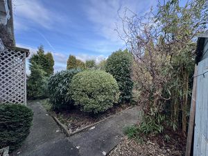 Front Shrubs/shed- click for photo gallery
